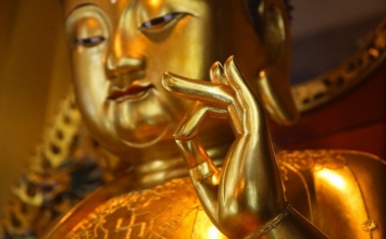 Không lầm nhân quả